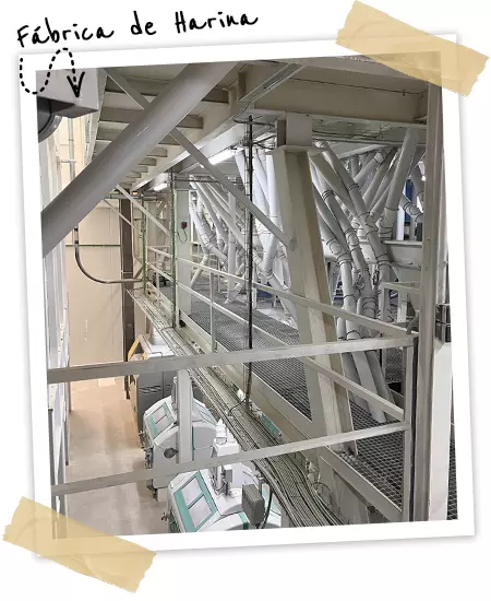 Fabrica de Harina para cliente nacional o internacional